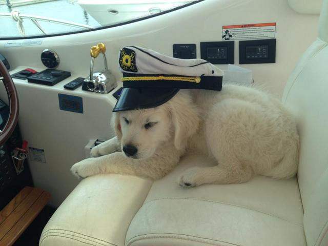 capt pippa.jpg