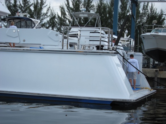 Sea Bowld On The Miami River - Mr7 Jpg