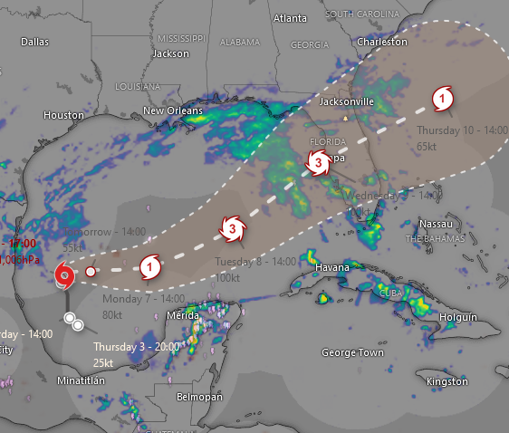 Screenshot 2024-10-05 at 19-08-49 Windy Milton - Hurricane tracker.png