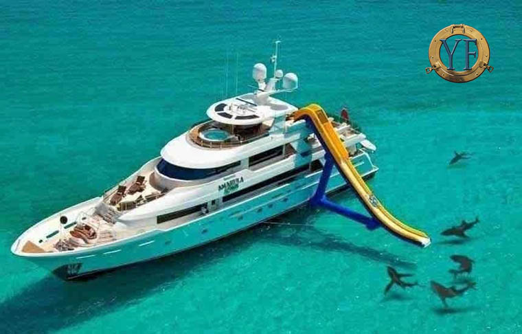 yacht slide sharks