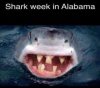 Alabama Shark.jpg